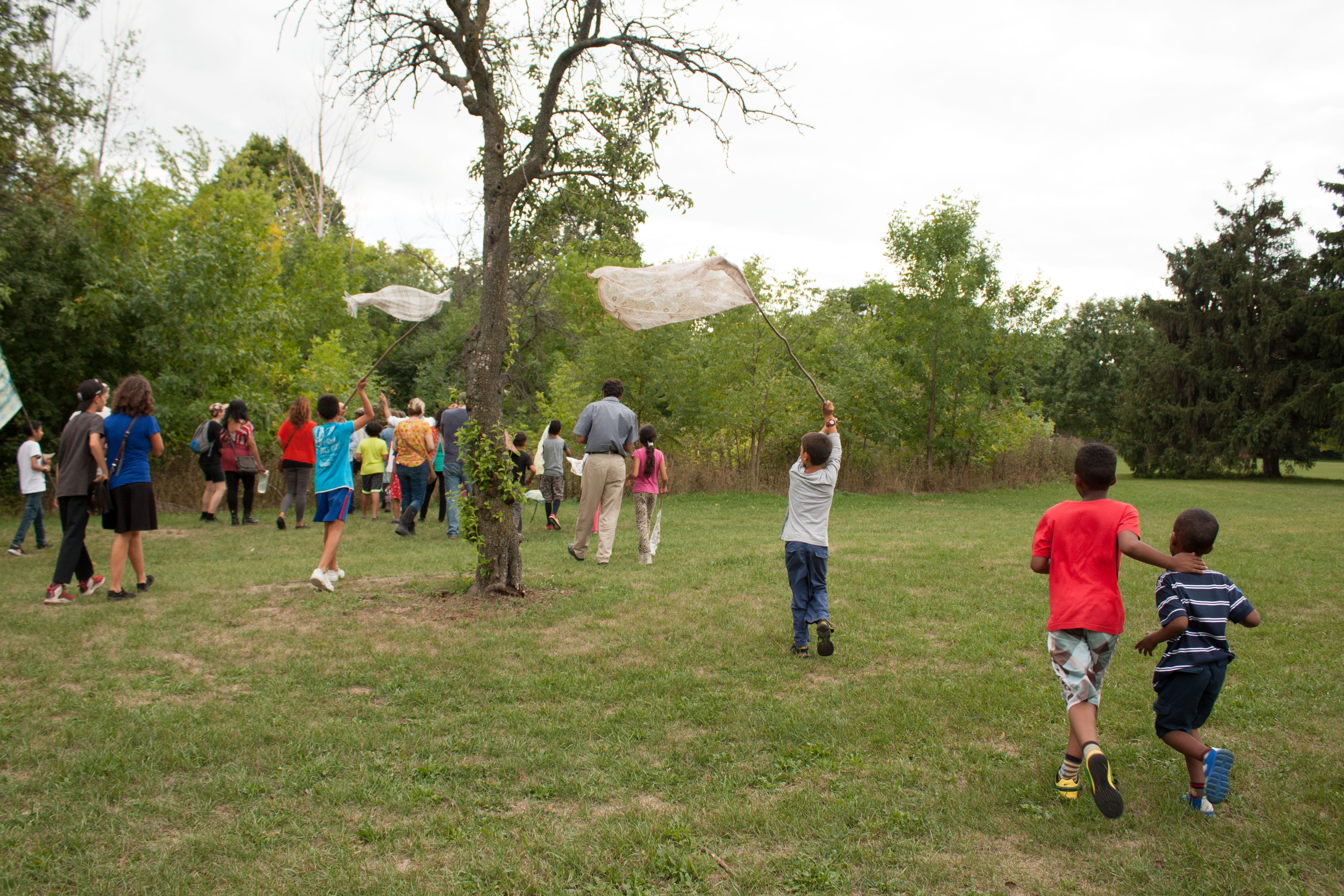 A large group of children walk through a field into a wooded area.