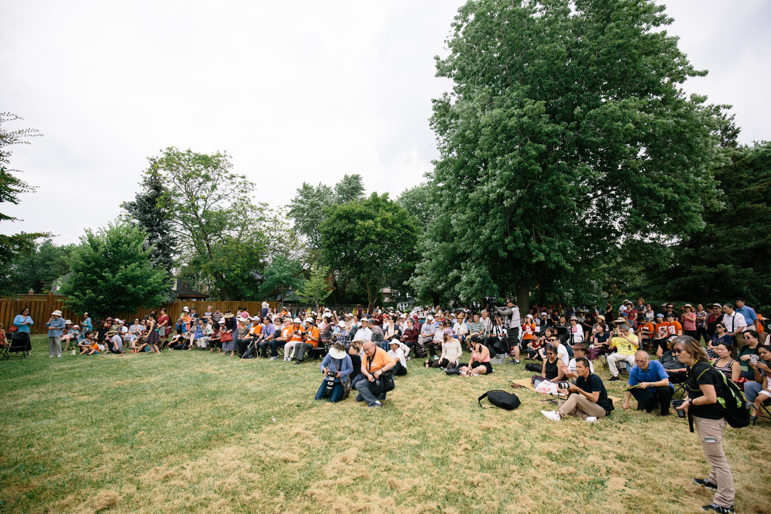 A large crowd sits under a group of trees to watch an event.