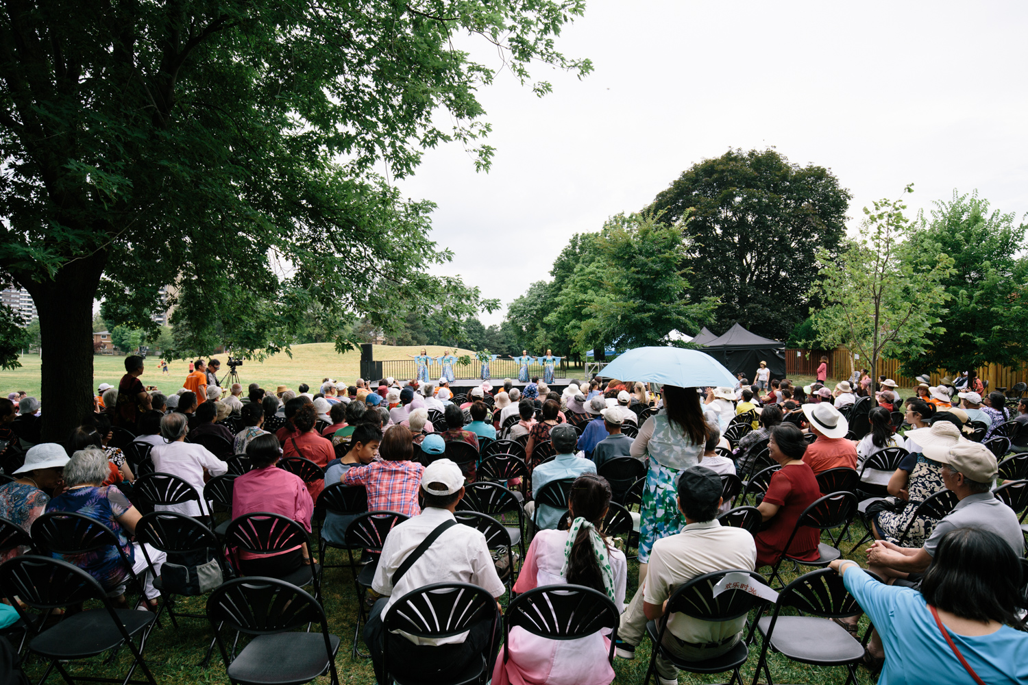 View from the back of a large audience under the trees watching the event.